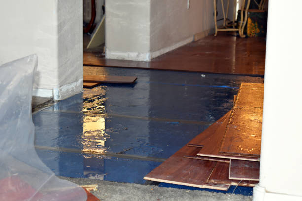 Professional Flood Damage Restoration technician working in Highlands, TX